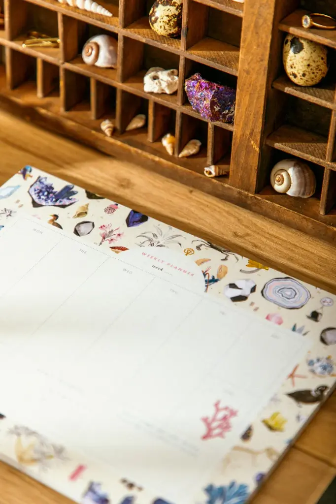 Weekly Planner Curiosity 2.webp
