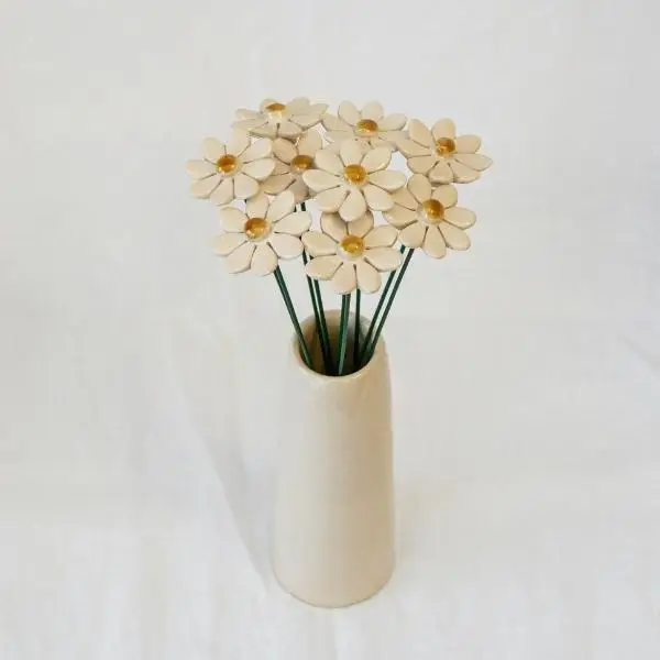 Marguerite - Plusieurs couleurs