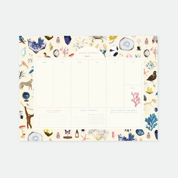 Weekly Planner Curiosity