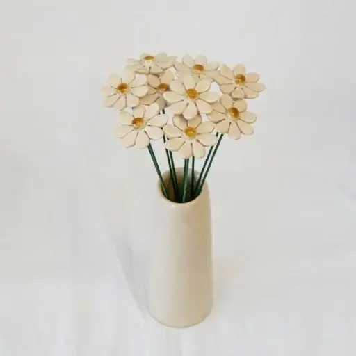 Marguerite - Plusieurs couleurs