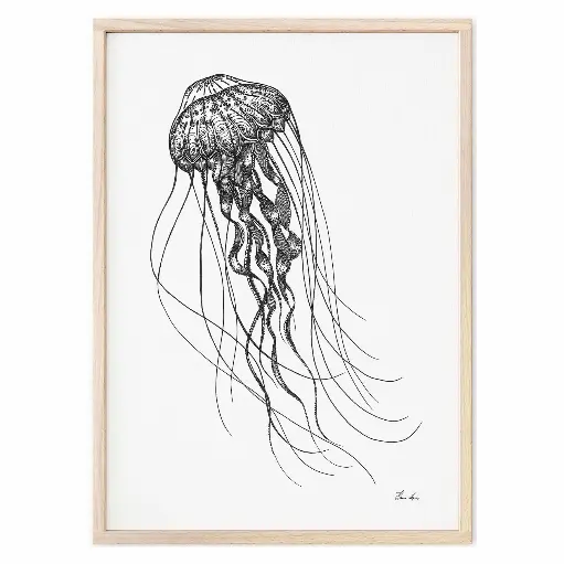 [6.3] Méduse des grands fonds